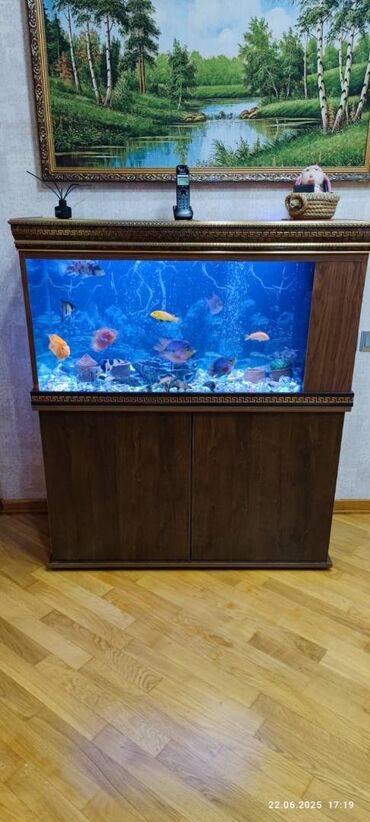 İtlər: Akvarium-şkaf, Balıqlarla birlikdə, 40 l, Ünvandan götürmə
