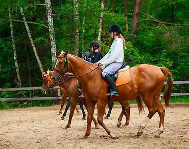 конный: Конные прогулки “Royal Horse Arashan” - Локации: горное ущелье Арашан — 2
