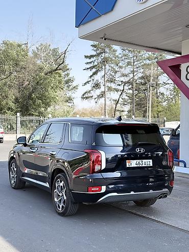 боковой: Hyundai Palisade: 2021 г., 2.2 л, Автомат, Дизель, Внедорожник — 6