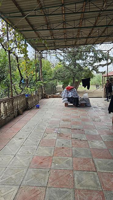 Həyət evləri və villaların satışı: Satılır: həyət evi 30 sot həyətdi bütün sənədləri var Cəlilabadın — 12