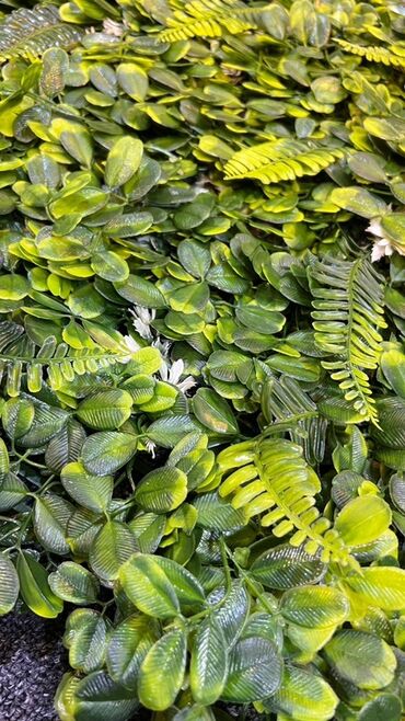 Süni güllər: Süni yaşıl divar paneli müxtəlif yaşıl yarpaqların və qırmızı — 22