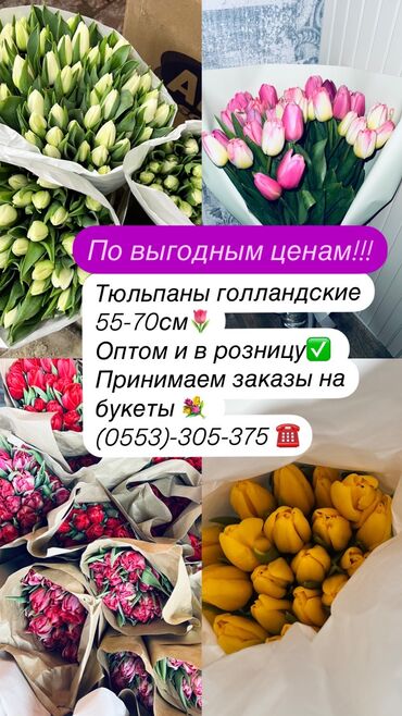 Цветы и букеты: Оптом и в розницу! По выгодным ценам!! Звонить можете любое время !