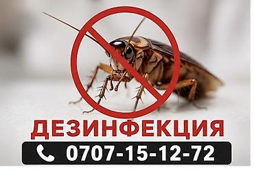 Клининговые услуги: Дезинфекция, дезинсекция, | Блохи, Вирусы, микробы, Клопы, | Подвал, погреб, Подъезды, Дома — 1