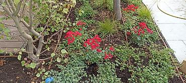 Насосы: Здравствуйте. Мы частная компания которая занимается профессионально — 8