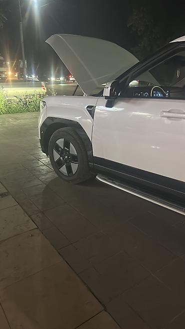 hyundai ionic: Hyundai Santa Fe: 2024 г., 1.6 л, Автомат, Гибрид, Кроссовер — 1