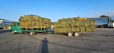 грузовой волва: Заказать Мерседес грузовой спринтер, С прицепом — 5