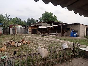 2 rooms: Продаю дом 3 ком и времянка 2 ком участок 8 соток,цена договорная - — 8