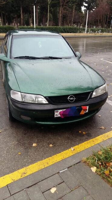 Opel: Opel Vectra B sedan - Kuzov: 4 qapılı sedan, tünd yaşıl rəng - — 13