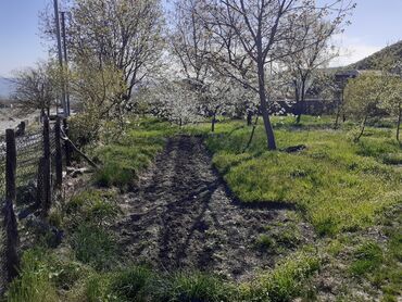 Torpaq sahələrinin satışı: 10 sot, Tikinti, Mülkiyyətçi, Kupça (Çıxarış) — 2