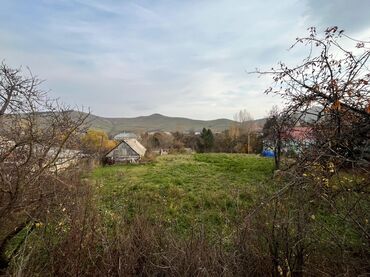 Torpaq sahələrinin satışı: 20 sot, Kupça (Çıxarış) — 4