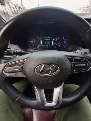 Hyundai: Hyundai Palisade: 2019 г., 3.5 л, Автомат, Дизель, Кроссовер — 14