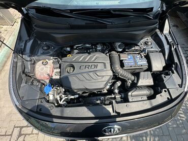 Kia: Kia Seltos: 2020 г., 1.6 л, Робот, Дизель, Кроссовер — 20