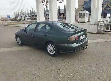 su 7: Nissan Primera: 2000 г., 2 л, Седан — 2