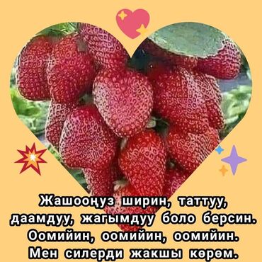 улуттук идиш аяктар: Саламатсыздарбы Бишкектебиз Биз Уйдон откорулуу Уй тойго кызмат