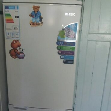 холодильник будка: Холодильник Блеск двухкамерный