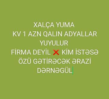 Təmizlik xidmətləri: Xalçaların yuyulması | Xalçalar Ödənişli çatdırılma — 1