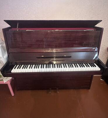 pianinolar: Piano, Akustik, İşlənmiş, Ünvandan götürmə, Ödənişli çatdırılma