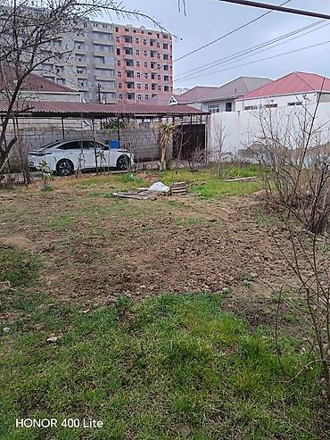 Xalçalar: Xalça Dekorativ — 21