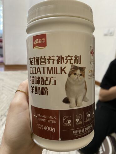 бак для воды 1000 л бу: Молоко для котят. Заменитель молока для котят с рождения до отъема