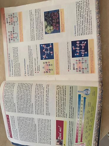 Книги и журналы: Məhsul: Sürat Scientific Books – Biology Series, “Biology 2” dərsliyi — 7