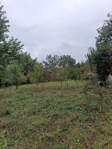 Torpaq sahələrinin satışı: 22 sot, Kənd təsərrüfatı, Mülkiyyətçi, Kupça (Çıxarış) — 2