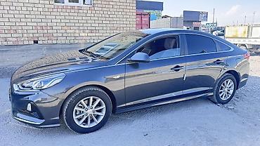 кормашка соната: Hyundai Sonata: 2019 г., 2 л, Автомат, Газ, Седан — 4