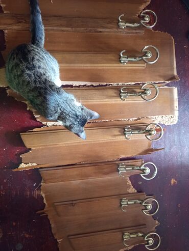 Asılqanlar: Sovetden qalma,qedimi qarderobun, taxta ve polad asilqani — 13