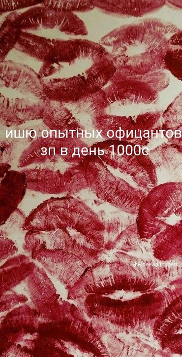 администратор в отель: Требуется Официант Менее года опыта, Оплата Ежедневно