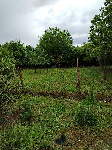samux rayon: Gence seher Samux rayon ziyadli kend mektebin arxasi. Mehle evi 8 — 9