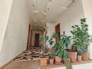 Həyət evləri və villaların satışı: 5 otaqlı, 150 kv. m — 4