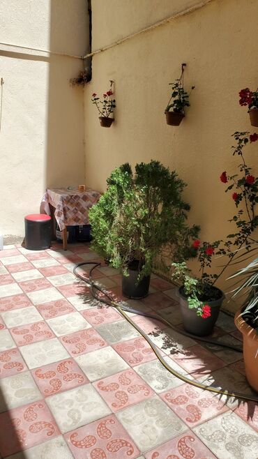 Həyət evləri və villaların satışı: 4 otaqlı, 90 kv. m, Kredit yoxdur, Yeni təmirli — 23