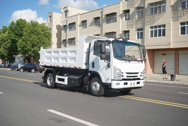 кара электрическая цена: Грузовик, Isuzu, Стандарт, Новый