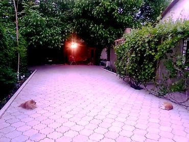 Продажа коттеджей и домов: ЮНУСАЛИЕВА/АХУНБАЕВА! 4-х комнатный дом! ПРОСТОРНЫЙ ДВОР покрыт — 18