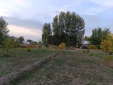 Продажа участков: 6 соток, Для строительства, Красная книга, Договор купли-продажи — 10