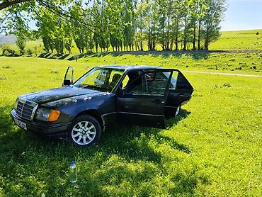 на 124: Mercedes-Benz W124: 1992 г., 2.5 л, Механика, Дизель, Седан — 4