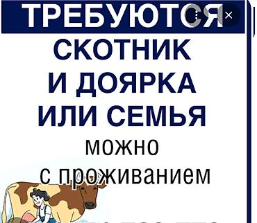 Работа: Требуется Доярка, Оплата: Ежемесячно, Питание — 1