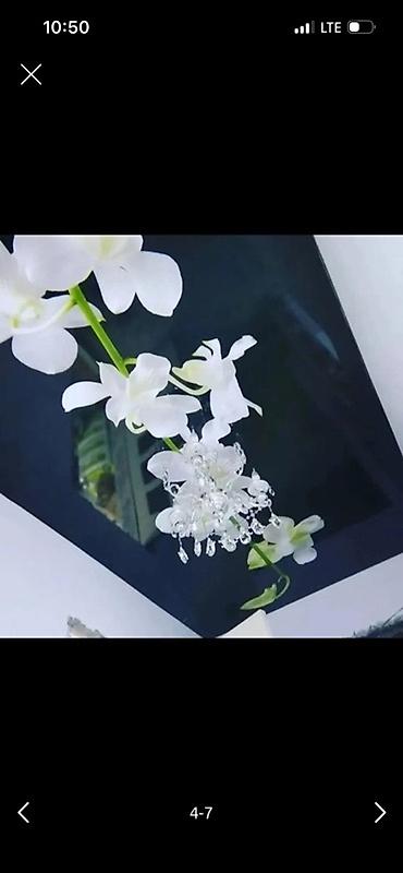 Натяжной потолок: Натяжной потолок Глянцевое, Матовое, 3D потолки Демонтаж, Монтаж, Бесплатный замер — 6