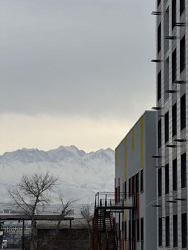 Продажа квартир: 1 комната, 42 м², Элитка, 4 этаж — 7