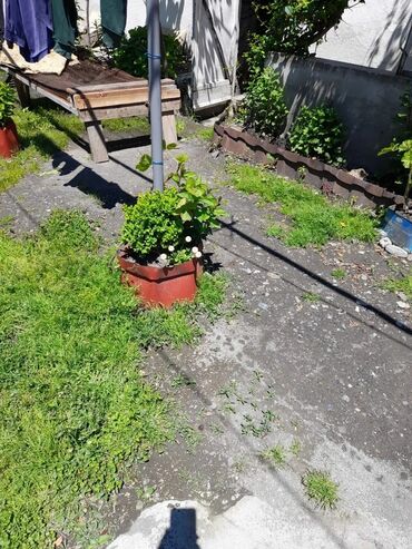 Bağ evlərinin kirayəsi: Kirayə üçün həyət evi - Yaşıl, sakit həyətli mülk: dekorativ daşdan — 14