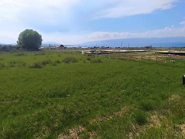 Продажа участков: 15 соток, Для сельского хозяйства, Красная книга — 2