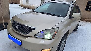 Lexus: Lexus RX: 2004 г., 3.3 л, Автомат, Бензин, Кроссовер — 4