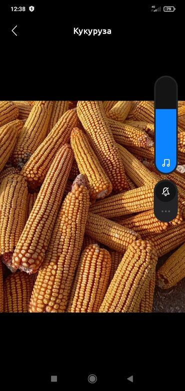 лопата для уборки снега: Жүгөрү