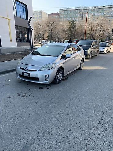 Toyota: Toyota Prius: 2011 г., 1.8 л, Вариатор, Гибрид, Хэтчбэк — 15