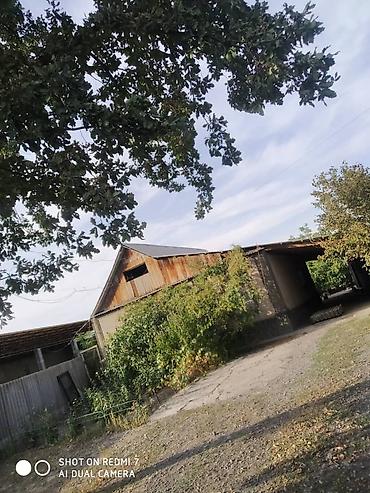 Продажа коттеджей и домов: Продаю дом. Село Беловодское, находится по улице Фрунзе 25. (Главная — 3