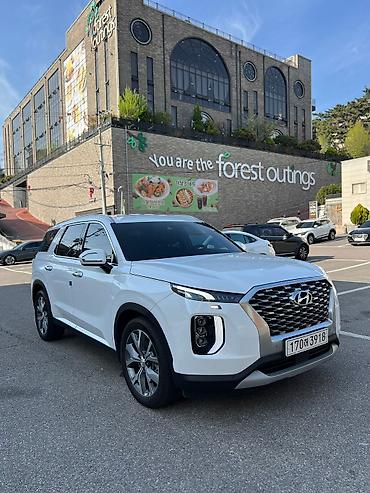 Hyundai: Hyundai Palisade: 2021 г., 2.2 л, Автомат, Дизель, Внедорожник — 1