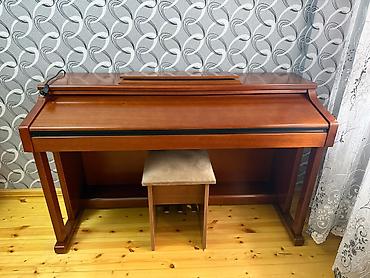 Piano, Steinway & Sons, Rəqəmsal, Yeni
