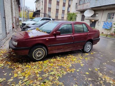 Volkswagen: Volkswagen Vento: 1994 г., 1.8 л, Бензин, Седан