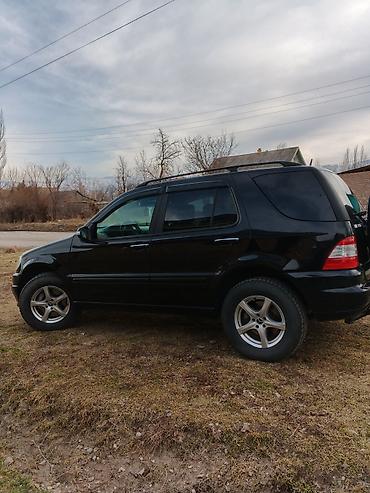 smart open: Mercedes-Benz ML-Class: 2003 г., 3.7 л, Автомат, Бензин, Внедорожник — 4