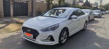 елентра хундай: Hyundai Sonata: 2021 г., 2 л, Автомат, Газ, Седан