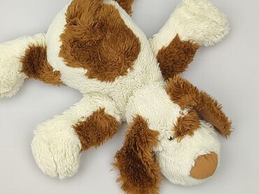 czapki z alpaki allegro: Mascot Dog, condition - Very good